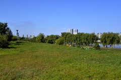 初秋——江边随拍（6）