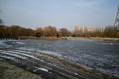 冬日里的镜湖公园