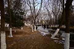 冬日里的镜湖公园