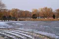 冬日里的镜湖公园