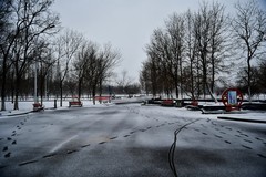 森林公园雪花纷飞兆丰年