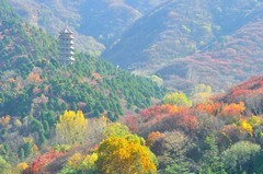 【视觉光影】 济 南 红 叶 谷（1）