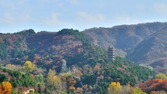 【视觉光影】 济 南 红 叶 谷（1）