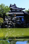 江心屿风光 (14)