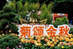 ”菊颂金秋“菊花展现场花絮