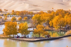 外出随拍（703）.