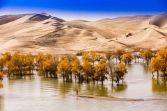 外出随拍（703）.