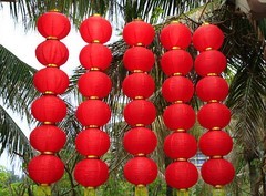 1411【不老松：二游海南纪实】在长島兰湾烘烘火火过新年！