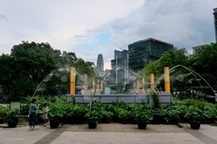 沙湖公园的荷花展！