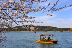 2026年第0204贴 - 颐和园西堤风光（0318）