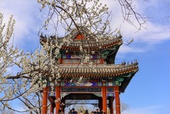 2026年第0204贴 - 颐和园西堤风光（0318）