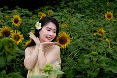 《qxy葵花人像》07