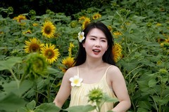《qxy葵花人像》07