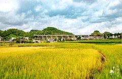 木咱田园。尼康D7000、16/85、镜头拍摄。