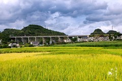 木咱田园。尼康D7000、16/85、镜头拍摄。