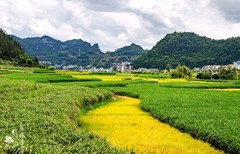 木咱田园。尼康D7000、16/85、镜头拍摄。