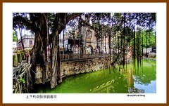 上下杭街区景观荟萃—2022南行慢游（福建159）福州市