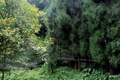 古莲池寺，宝山村