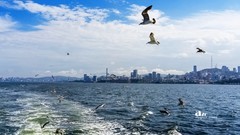 海参崴——艇上拍（11）