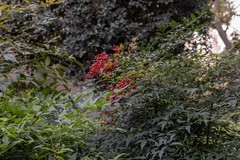 庐州印象（543）