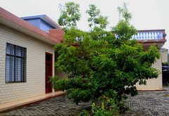 011【不老松：二游海南记实】2019年宣布脱贫后的昌拱村！(2)