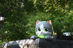 初秋的中山公园