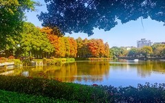 [26087] 流花湖公园