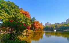 [26087] 流花湖公园