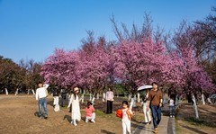 2026,初五游成都植物园2。