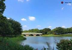 海珠湖的秋天。。。。。。