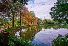 深圳笔架山公园 掠影