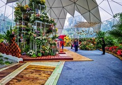 深圳仙湖植物园 掠影