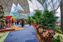 深圳仙湖植物园 掠影