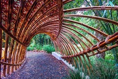 深圳仙湖植物园 掠影