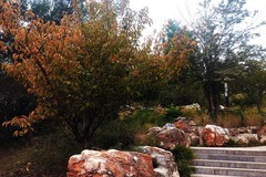 秋日·昆仑公园