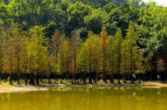 冬景随拍（三）