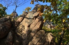 丹东——五龙山（11）