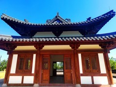 江心屿风光 (16)