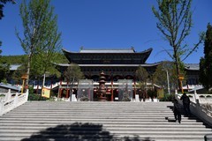 报国寺（4）
