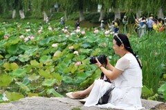 荷花塘边人像习拍
