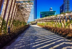 深圳笔架山公园 掠影