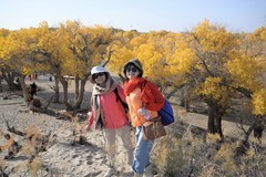 额济纳胡杨林景区（1）
