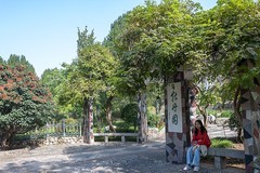 秋意浓-泉城公园8