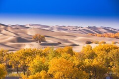 外出随拍（706）.