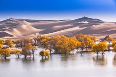 外出随拍（706）.