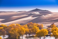 外出随拍（706）.