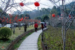 春游大足和平村（8）