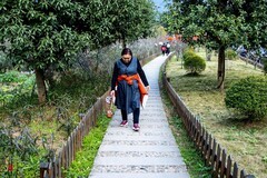 春游大足和平村（8）