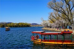 2026年第0207贴 - 颐和园西堤桃花纪实（0320）