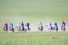 马背上的风采（20）